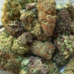 Novedades en la legislación del cannabis para uso medicinal
